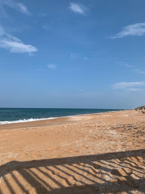 Ormond Beach, Fun & Loving Sun! Экстерьер фото